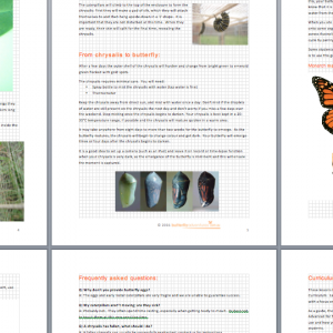 Caterpillar Kit Instructions and classroom butterfly lifecycle activities