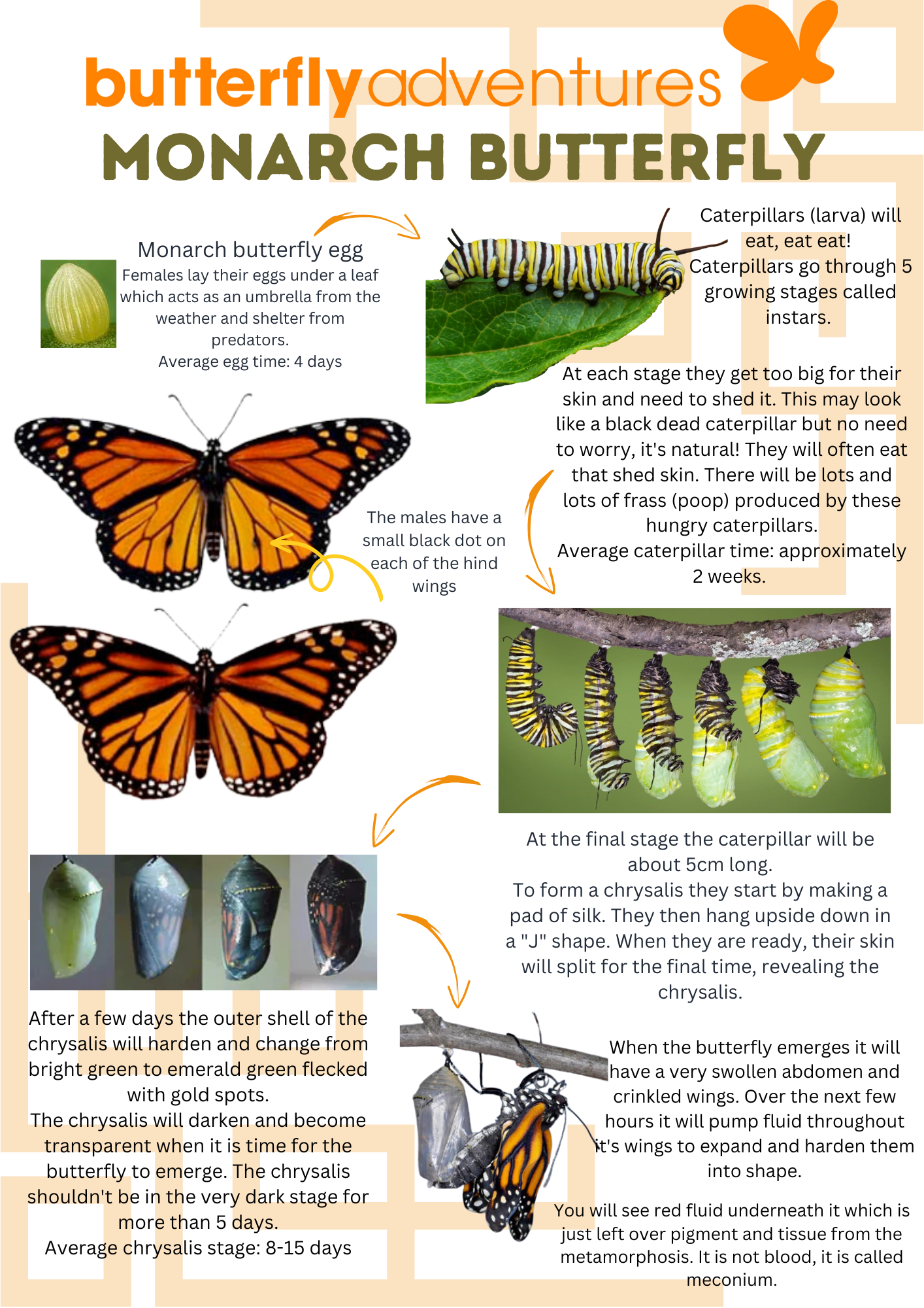 Resources – Butterfly Adventures